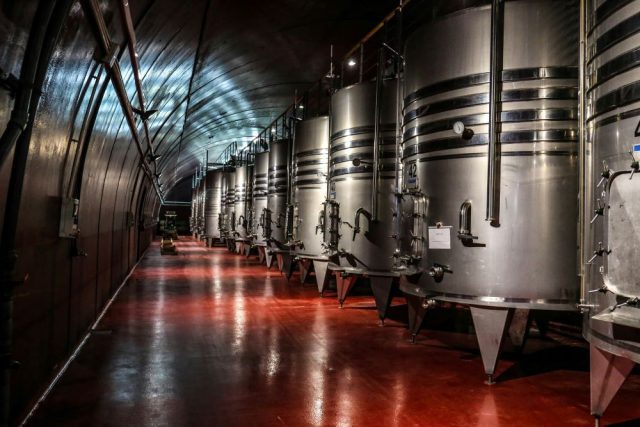 Digitalización de bodegas: mejora tu eficiencia en la industria del vino 